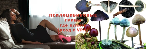 ПСИЛОЦИБИНОВЫЕ ГРИБЫ Балахна