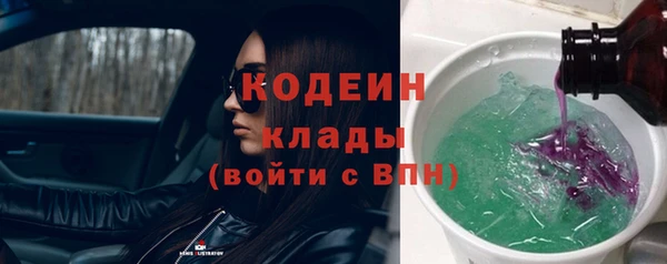 ГАЛЛЮЦИНОГЕННЫЕ ГРИБЫ Аркадак