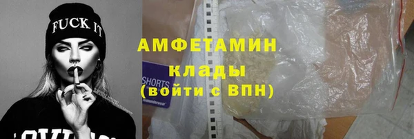 ГАЛЛЮЦИНОГЕННЫЕ ГРИБЫ Аркадак