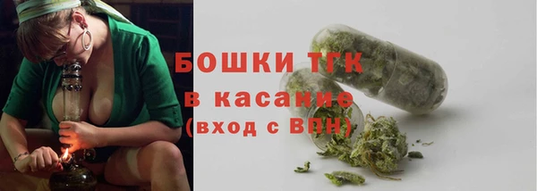 ГАЛЛЮЦИНОГЕННЫЕ ГРИБЫ Аркадак