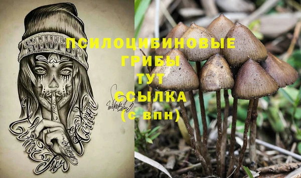 тгк Ступино