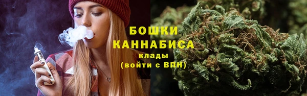 ГАЛЛЮЦИНОГЕННЫЕ ГРИБЫ Аркадак